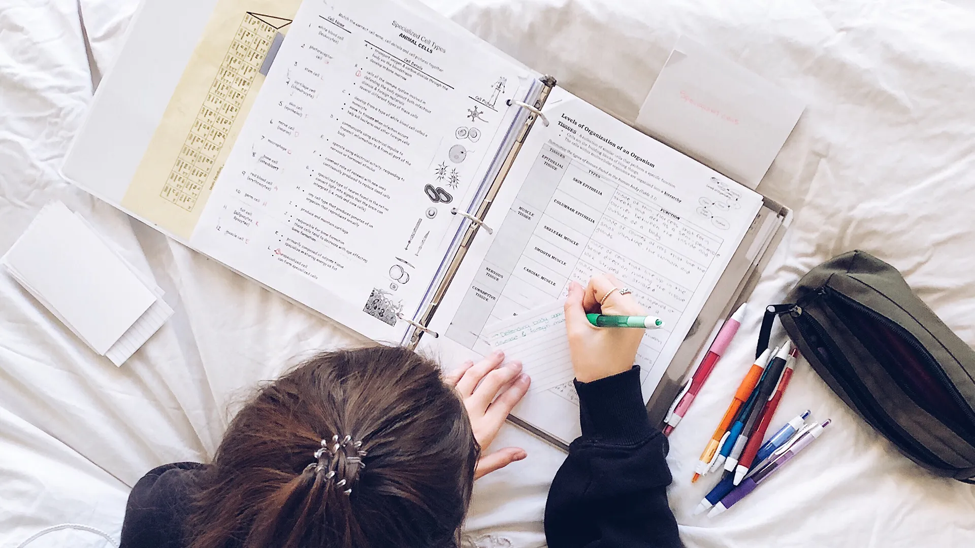 🏆 Güncel Deneme Sınav Paketleri - Güncel Deneme Sınavları Tek Pakette!